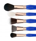 PHASE I Complete 15pc. Brush Set with Pouch